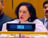 China hurt by India’s attack at the UN, also hurt by the UNSC’s lukewarm attitude
