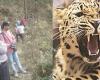 Uttarakhand News Leopard Killed Youth In Naukhu Village Rudraprayag Dead Body Found On Third Day – Amar Ujala Hindi News Live – Rudraprayag: Dead body of youth found in bushes, one leg and head missing, villagers said